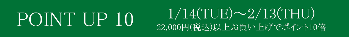 ポイント10倍